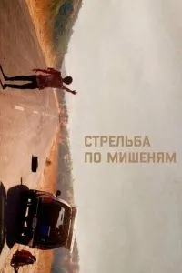 Стрілянина по мішенях