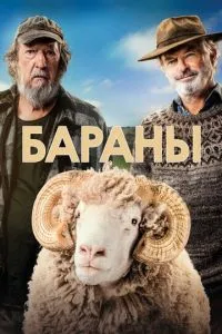 Барани
