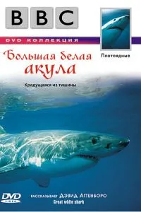 BBC: Велика біла акула