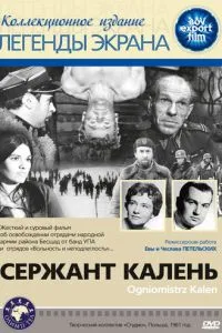 Сержант Калінь
