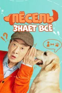 Песіль знає все