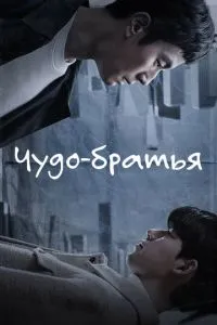 Чудо-брати