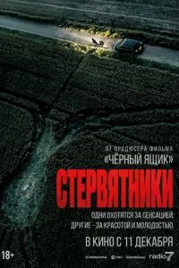 Стерв'ятники