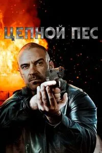 Ланцюговий пес