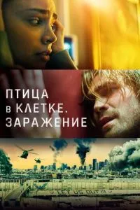 Птах у клітці. Зараження