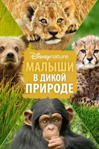 Діти в дикій природі