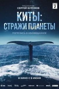 Кіти: Стражі планети