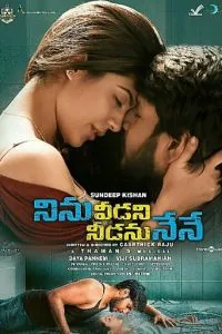 Ninu Veedani Needanu Nene