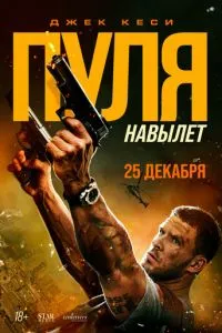 Куля навиліт