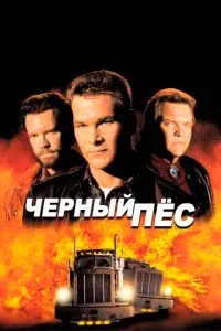 Чорний пес