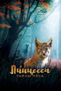 Лінцеса. Таємниці лісу