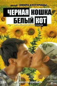 Чорна кішка, білий кіт