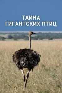 Таємниця гігантських птахів