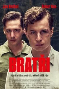 Брати
