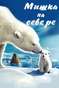 Ведмедик на Півночі