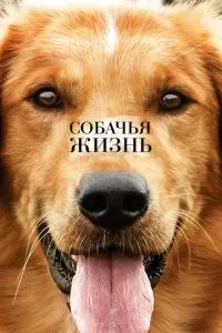 Собаче життя