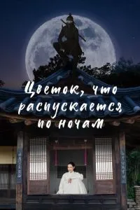 Квітка, що розпускається ночами