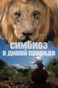 Симбіоз у дикій природі