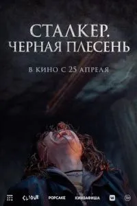 Сталкер. Чорна пліснява
