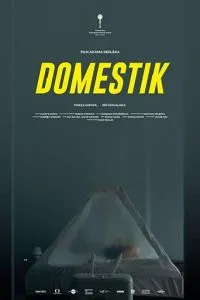 Домашній режим