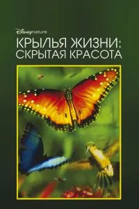 Крила життя: Прихована краса