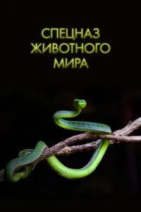 Спецназ тваринного світу