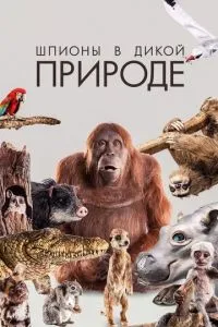 Шпигуни у дикій природі