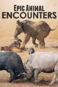 Epic Animal Encounters