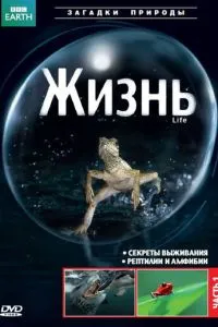 BBC: Життя