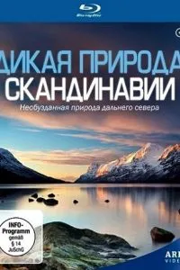 Дика природа Скандинавії