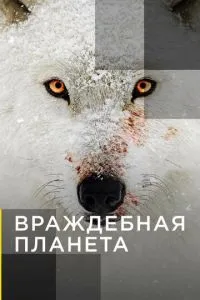 Ворожа планета