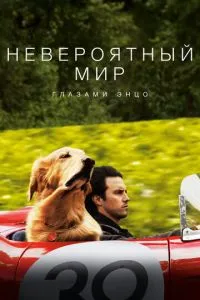 Неймовірний світ очима Енцо