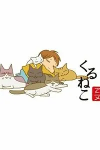Котячі історії