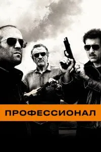 Професіонал