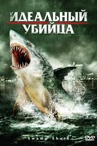 Ідеальний вбивця
