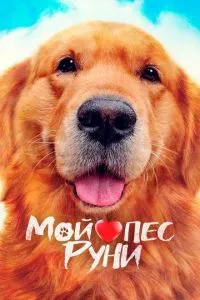 Мій пес Руні