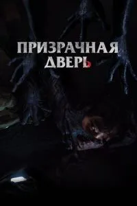 Примарні двері