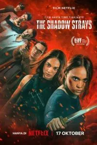 Блукаюча тінь
