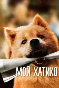 Мій Хатіко