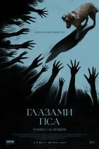 Очі пса