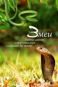 Змії. Таємниці смертоносних створінь на землі