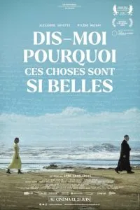 Dis-moi pourquoi ces chose sont si belles