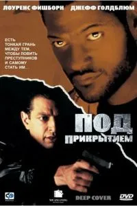 Під прикриттям