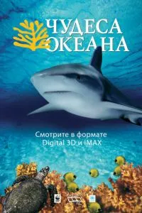 Чудеса океану 3D