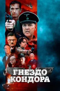 Гніздо кондору