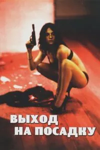 Вихід на посадку