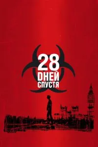 28 днів по тому