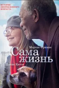 Саме життя