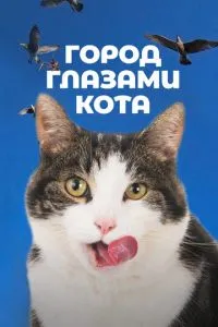 Місто очима кота