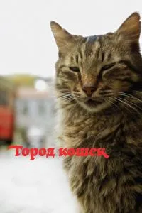 Місто котів